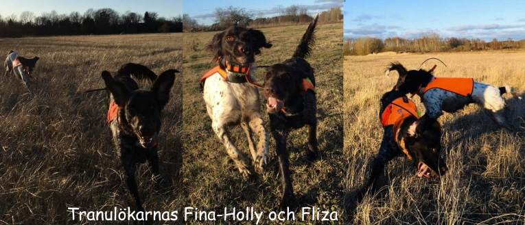 Fina-Holly och Fliza har jagat ihop